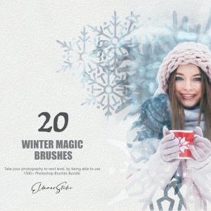 20 Winter Magic Photoshop Brushes